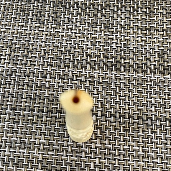 Vintage carved bone cigarette holder - Picture 3 of 5